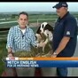 A pair of horny cows just stole the spotlight in this news report