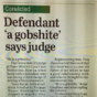 An Irish judge called a defendant a 'gobshite' and inspired the best headline ever