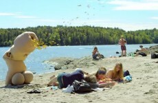 A giant penis is going around shooting glitter at people for a good reason
