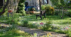 How urban flower power can be used to fight the march of property developers