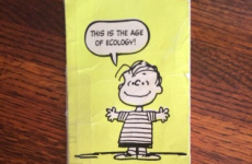 Two brothers have been sending each other this brilliant birthday card for 43 years