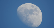 This camera's zoom is pretty mind-boggling