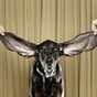 Dog sets 'longest ears' record with over 65 cm of ears