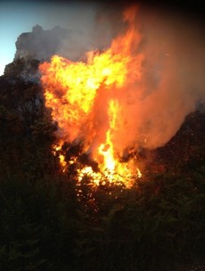 A simple mistake can cause massive gorse fires like this