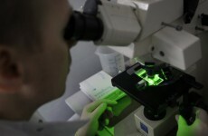 NASA-funded Maynooth research project makes evolution breakthough