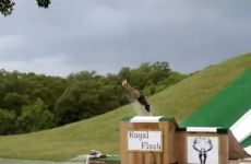 You will feel the pain of this woman's spectacular backflop