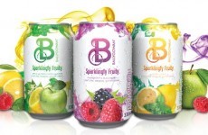 Ballygowan is now selling fizzy flavoured water in cans - here's our verdict