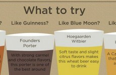 10 handy infographics that will help you become a drink expert