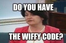 Looks like Senator Fidelma Healy Eames believes that Wi-Fi is pronounced 'wiffy'