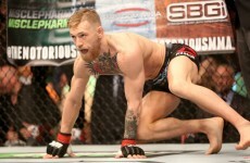 'I'm happy that the wrestler question is going to be asked of him'