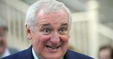 What's Bertie been up to?
