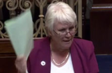 Fine Gael TD says family subject to 'vile comments' after Dáil speech