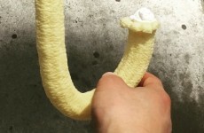 This phallic ice cream is taking over the streets of New York