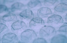 The science behind why popping bubble wrap is so addictive