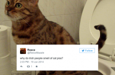 14 questions Irish people need to answer immediately