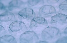 Explained: why we think bubble wrap is so great
