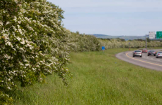 Ireland's roads are really, really bendy