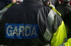 Gardaí cleared following allegations of pepper spraying woman and 'refusing her water and medical attention'