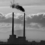 The Poolbeg Chimneys have some very unusual residents