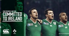This is the new Ireland jersey for the Rugby World Cup