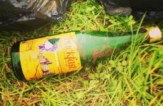 5 alternative names for your bottle of Buckfast