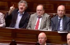 This clip of TDs shouting and roaring will make you glad they've gone on holidays