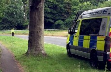 Man (34) arrested after motorist stabbed to death following car crash