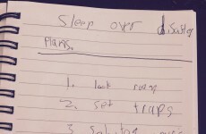 A little boy concocted an evil plan to sabotage his sister's sleepover...