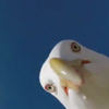 This seagull captured some stunning shots after stealing a tourist's camera