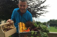 It’s officially courgette season! More tips for growing your own vegetables