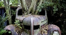 PHOTOS: Welcome to Old Car City, USA - the world's largest junkyard museum
