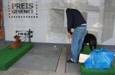 People have just discovered that IKEA in Germany have parking lots for dogs