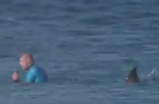 Jaw-dropping scene as pro surfer fends off shark during competition