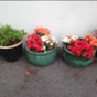Gardaí want to know if you've had a load of flowers go missing