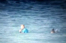 Watch: Professional surfer fends off shark attack during competition