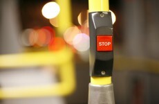 Woman who dodged bus fare claims gardaí 'snatched' her child