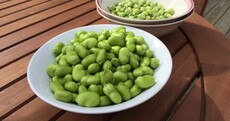 It took 4 hours' work to get these peas and broad beans - but growing your own is worth it
