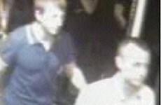 These two men may have witnessed a serious sexual assault and police want to speak to them