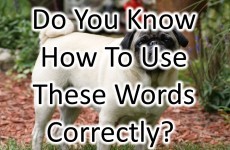 Do You Know How To Use These Words Correctly?