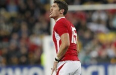 Was it over? James Hook says so - but IRB backs ref