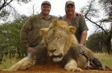American dentist who 'paid $50,000 to kill a lion with a crossbow' wanted by police