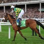 Our 9/1 tip for the Galway Races today