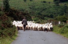 People from the north-west and farmers are Ireland's worst tax offenders