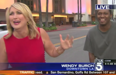 This news reporter got the sh**e scared out of her on live TV