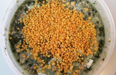 WTF is bee pollen and why is everyone eating it?