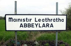 Government publishes wording of Abbeylara referendum