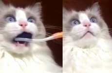 You won't believe these 5 weird ways people have actually had orgasms