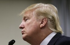 Poll: Would you vote for Donald Trump?