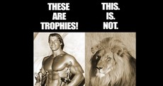 Arnold Schwarzenegger has something to say to the man who shot Cecil
