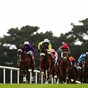 Our 5/1 tip for the Galway Races today